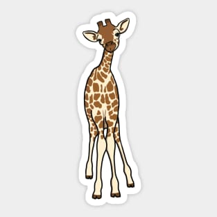 Cute baby giraffe Sticker